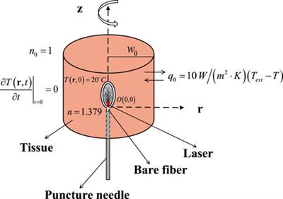Investigation and comparison on the interaction of laser and bio-tissue based on two classical models, the beam broaden model and diffusion approximation equation model, theoretically and experimentally